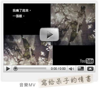 寫給呆子的情書